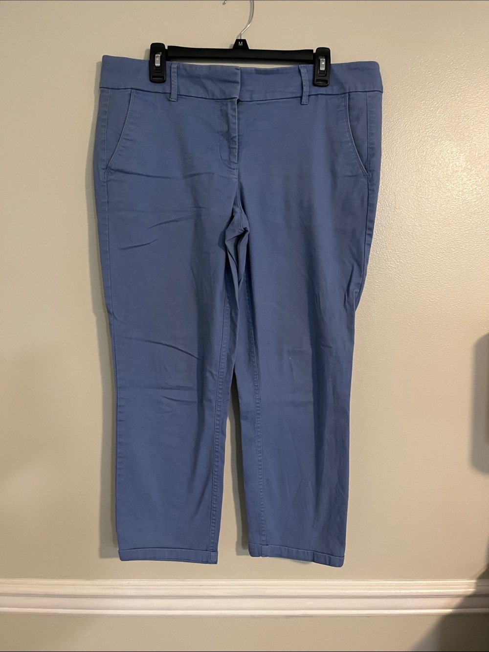 LOFT Women's Blue Ankle Crop Pants